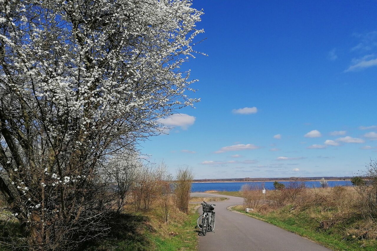 Foto: LRA/Bechtloff